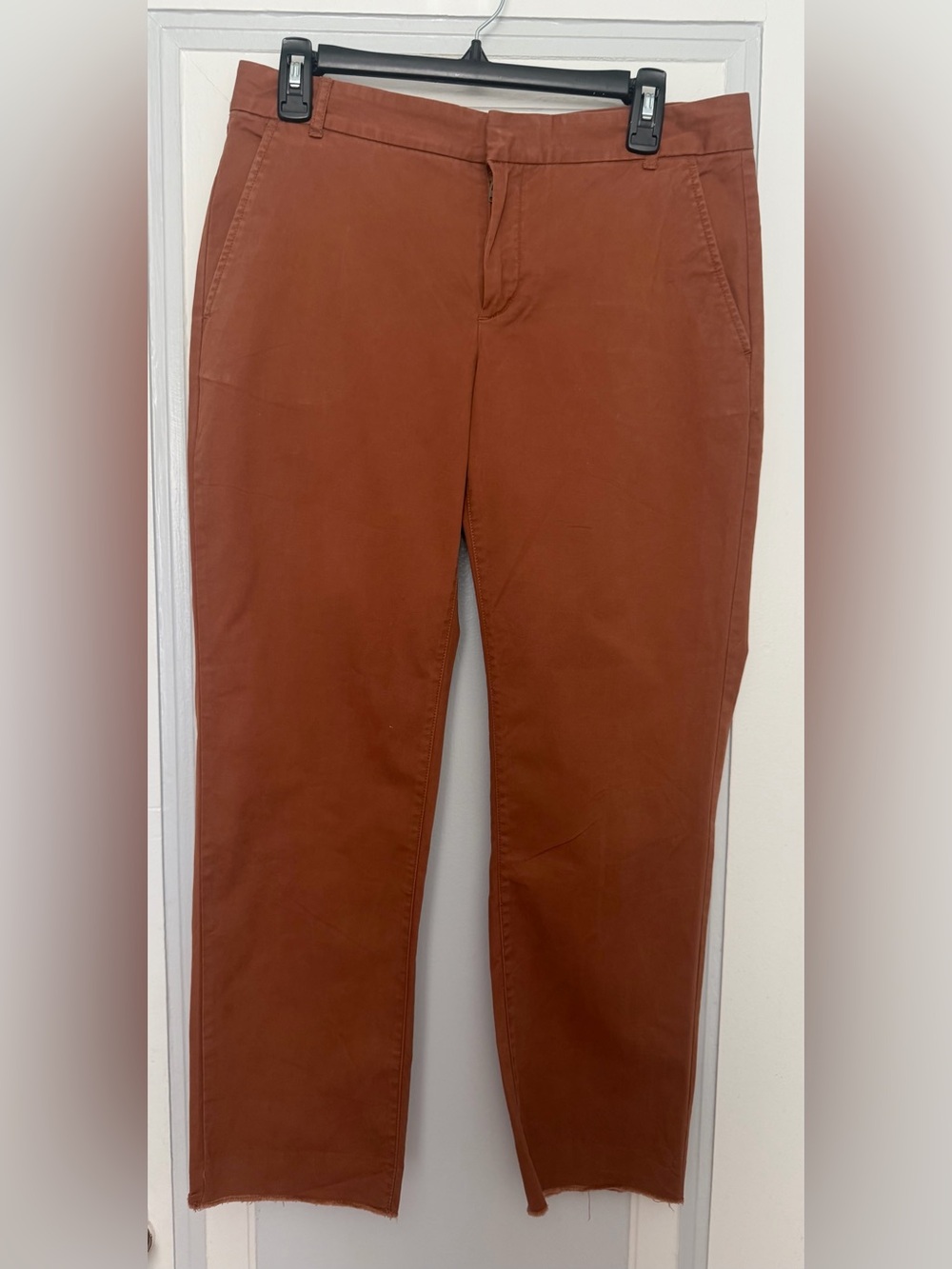 Banana Republic Ankle Length Straight-Leg Pants in Rust with Raw Edge Hem